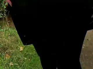 সুন্দরী চোদা চুদি দেখান বালিকা
